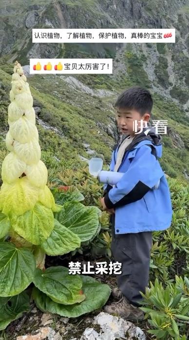 西藏，男子一家三口徒步高原，爬到4000多米时停下休息，没想到，男子远远的看到一