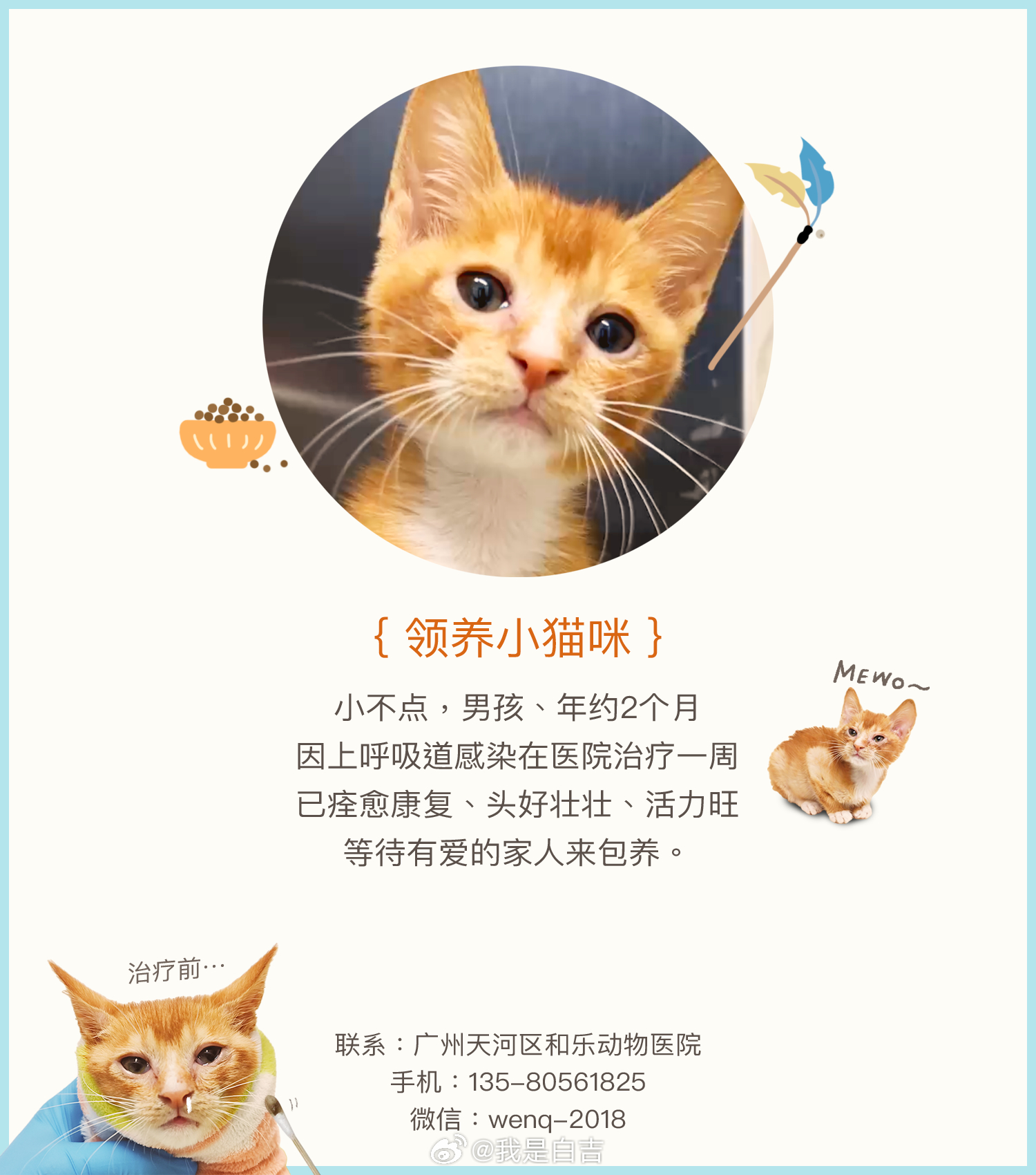 ｛ 领养小猫咪 ｝小不点，男孩、年约2个月，等待有爱的家人来包养。领养条件：生活