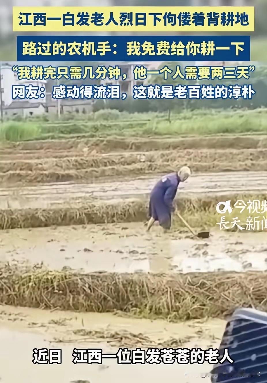 破防了！江西吉安，一位农机手路过田间时，看到老人在烈日下独自耕地。他突然朝着田里