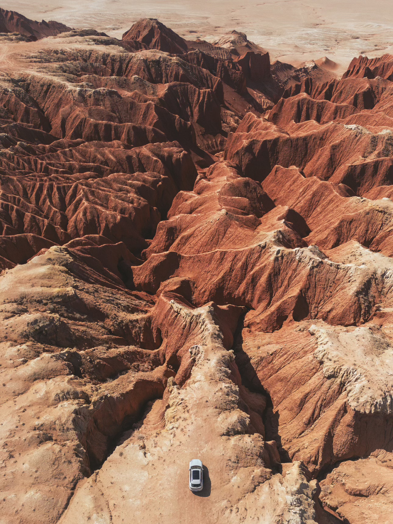 继续回味与新卡宴一同经历的，西部世界之旅🏜️看着这些画面，一段熟悉的旋律逐渐在