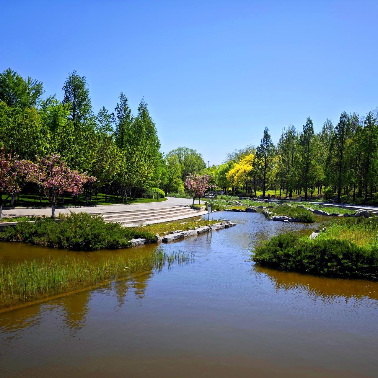 北京大望京公园