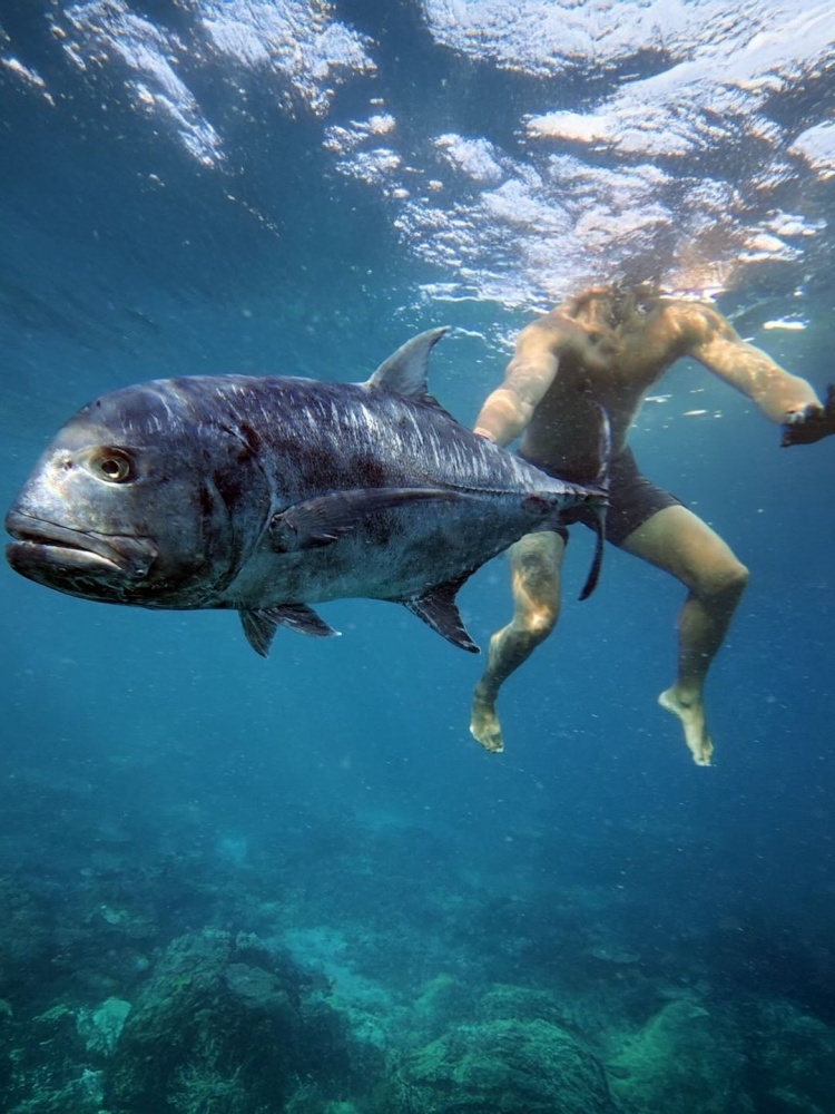 是老板们的噩梦，却是打工人的梦想！29岁失业人员！本·西蒙斯晒近照：深潜 烤肉 