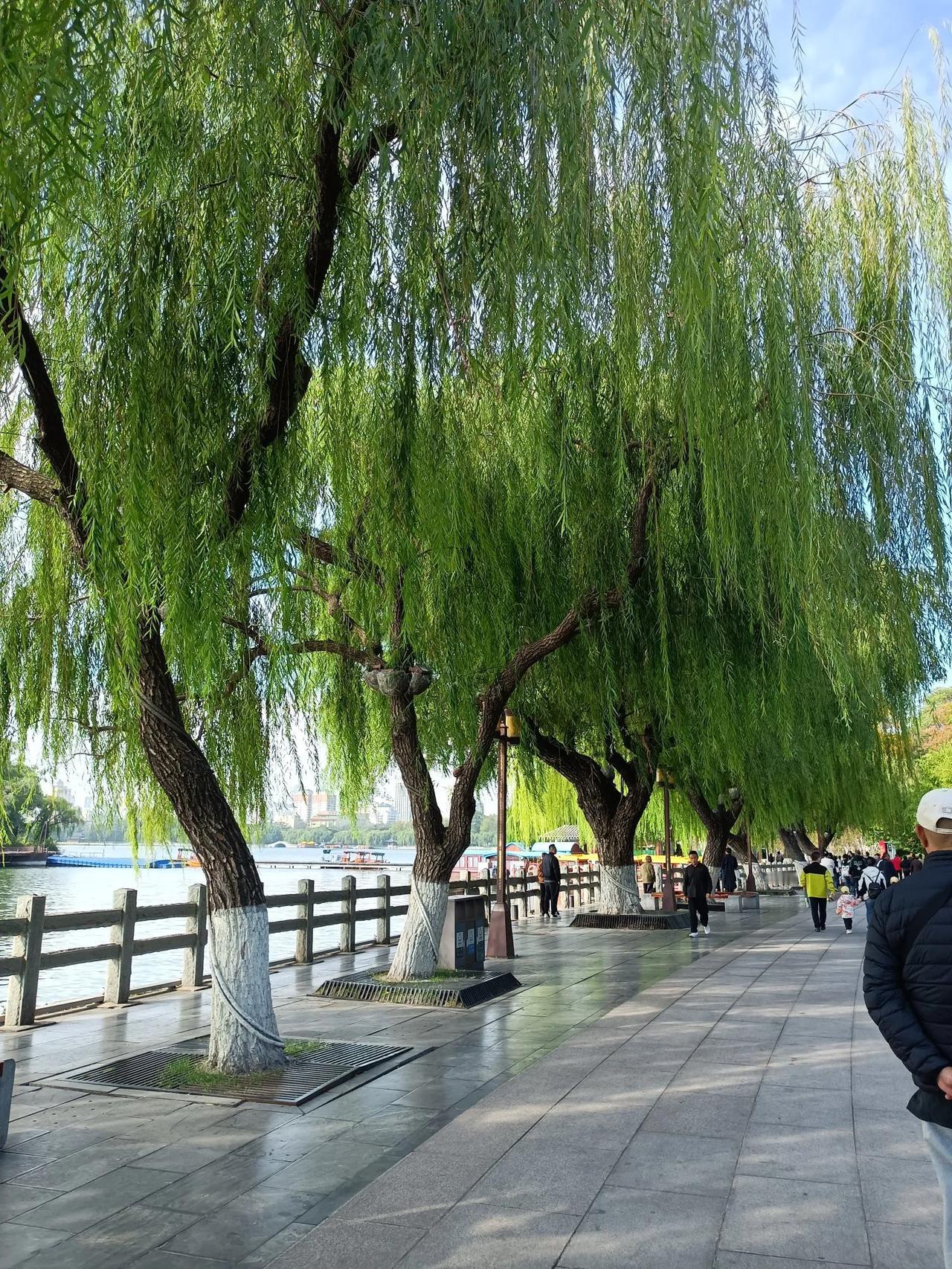 #如何用一句话证明你在济南待过#
“我在济南看过大明湖的碧波荡漾，感受过千佛山的