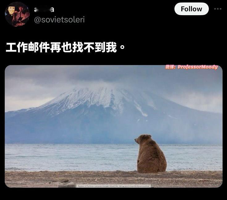 我接了🙏🏻 