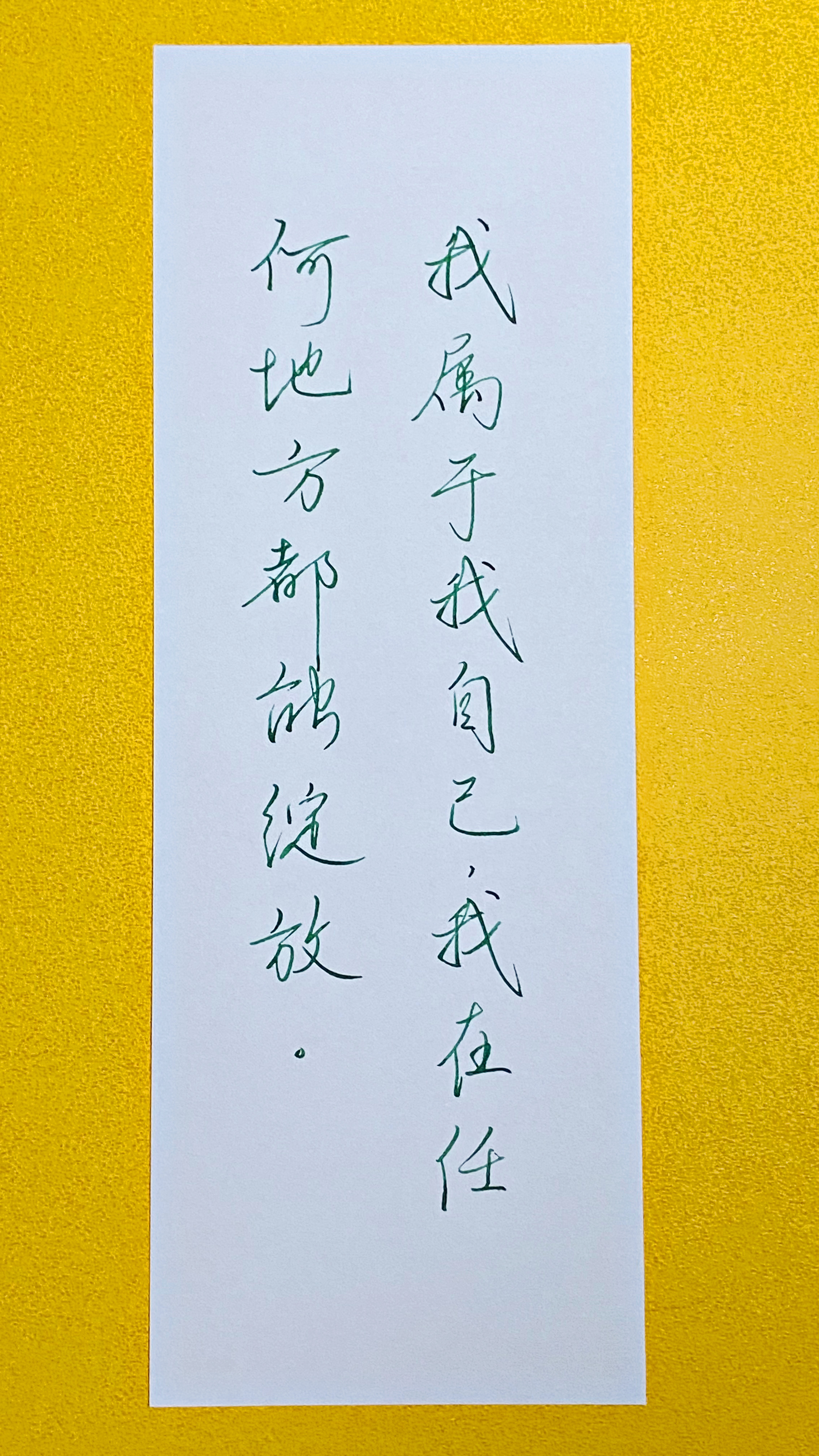 今日作业（2026.6.23）我属于我自己，我在任何地方都能绽放。     --