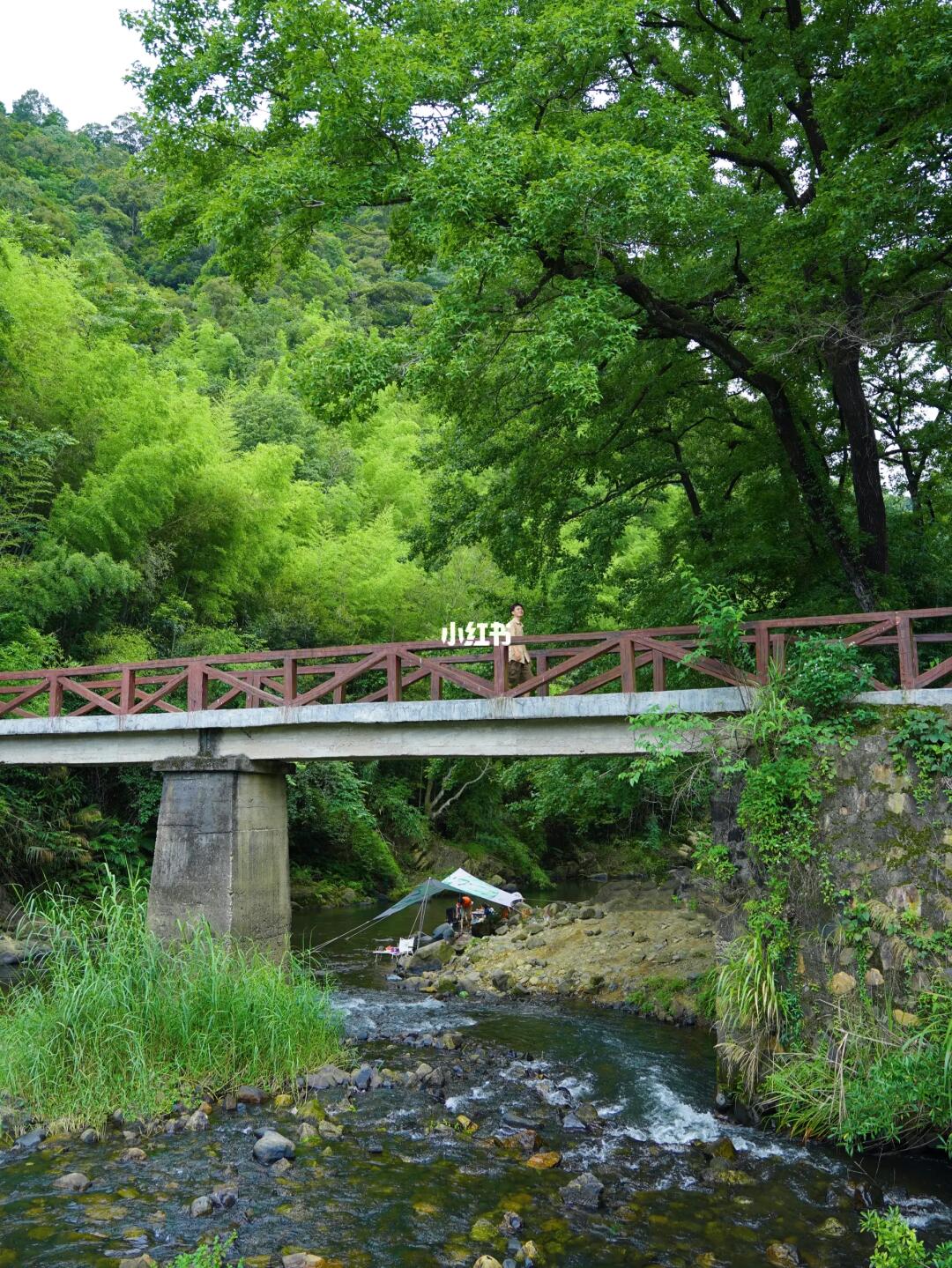 没人，没人，广州夏天26℃的快乐