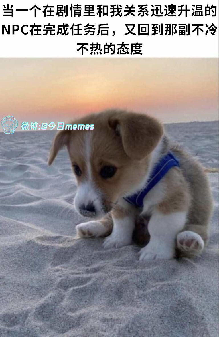 你玩吧（9gag）今日meme今日memes