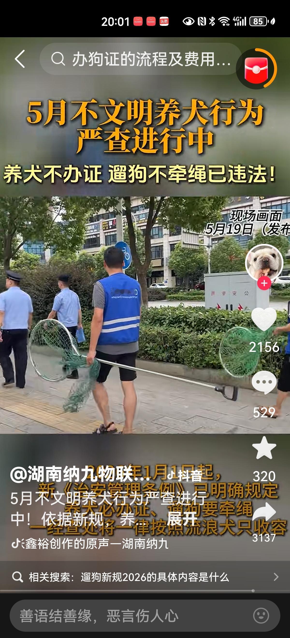 近日，部分地区养犬法规拟修订的消息引发网友热议，反响最大的也是占绝大多数的非养犬
