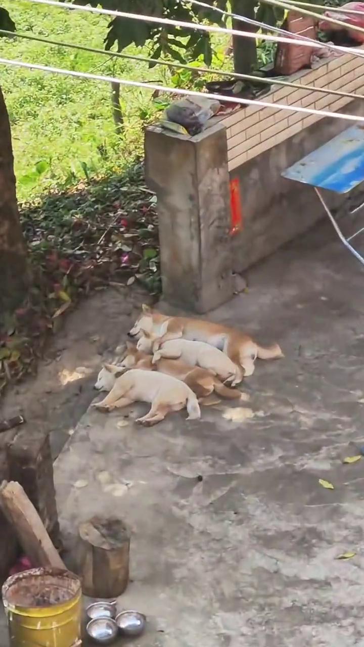 叫你呢，有空再回来。