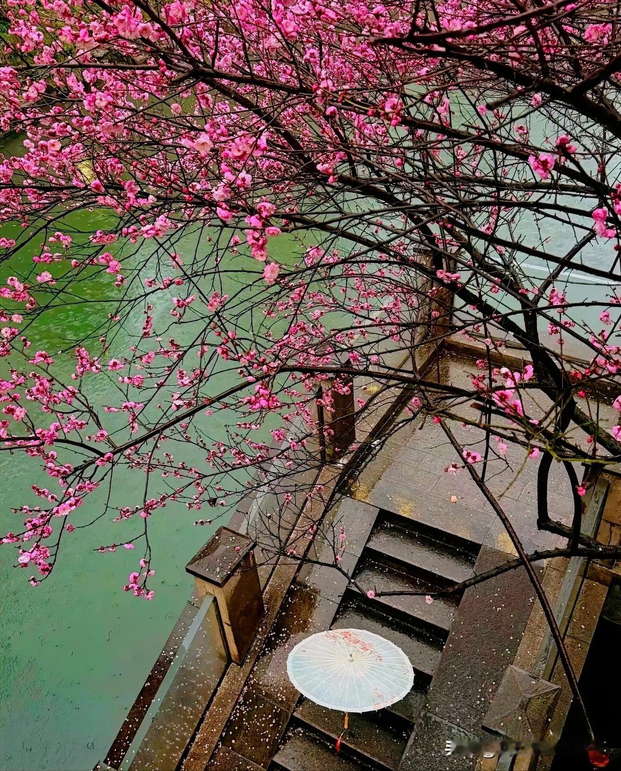 下联：寻春不见旧时人
上联：有请雅士[玫瑰][玫瑰][玫瑰]