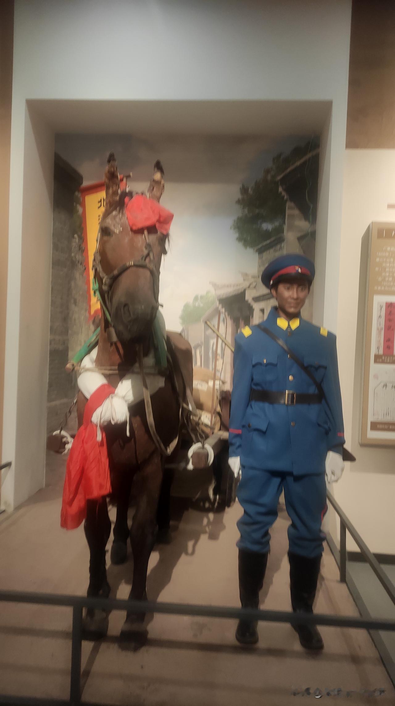 探访历史：博物馆里的老兵与战马军事飞机博物馆 骑兵战马 军事历史展品
