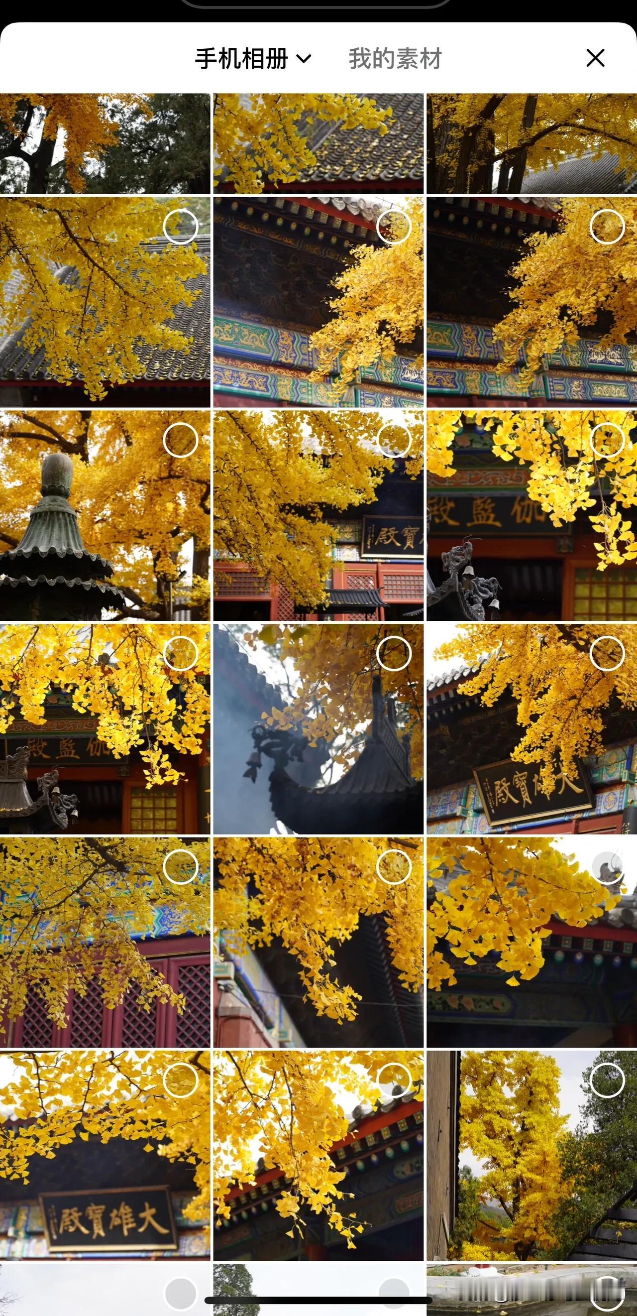 捕获了深秋的北京
2024年10月底～11月初
摄于北京大街小巷[庆祝]