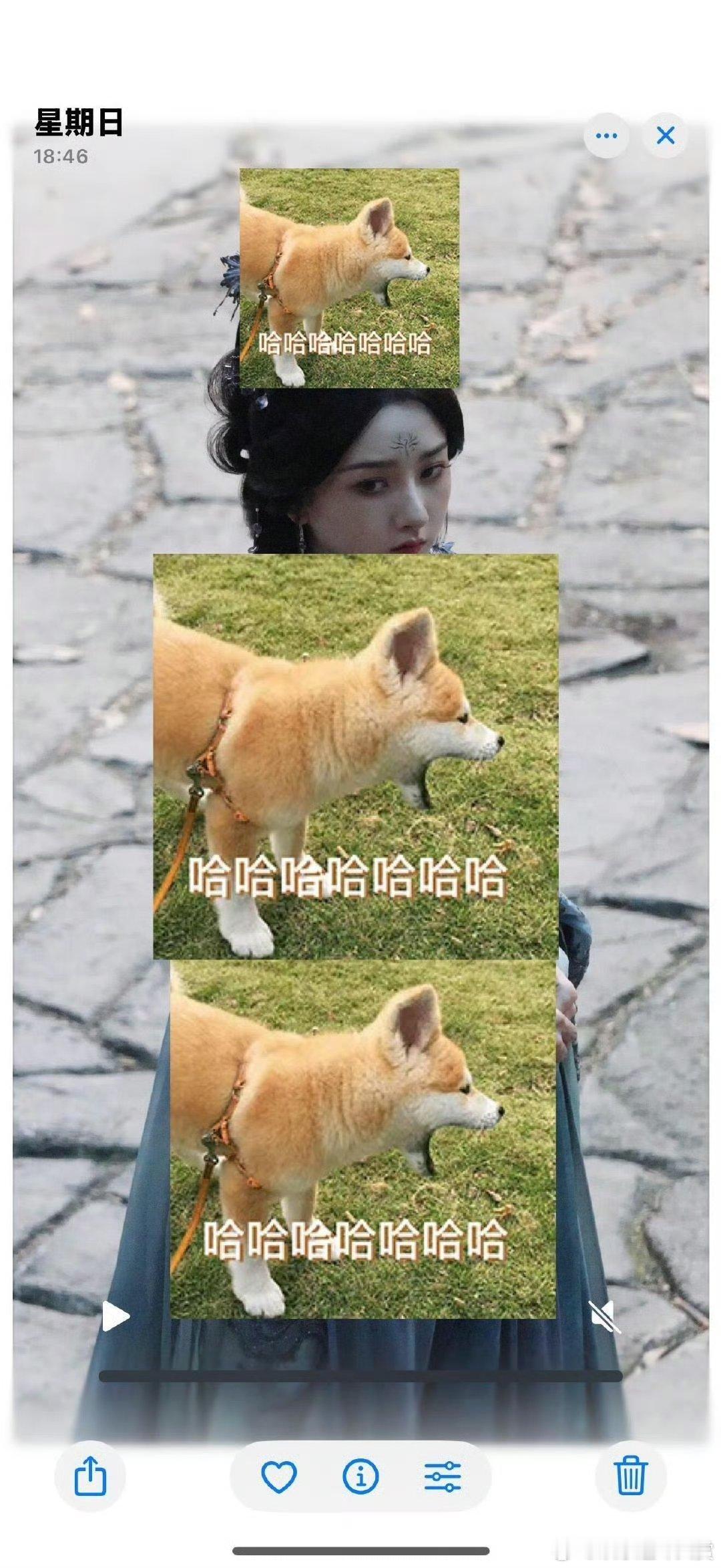 看宋祖儿新剧路透她在聊斋状态好。 宋祖儿新剧聊斋路透 宋祖儿聊斋生图 生图更证演