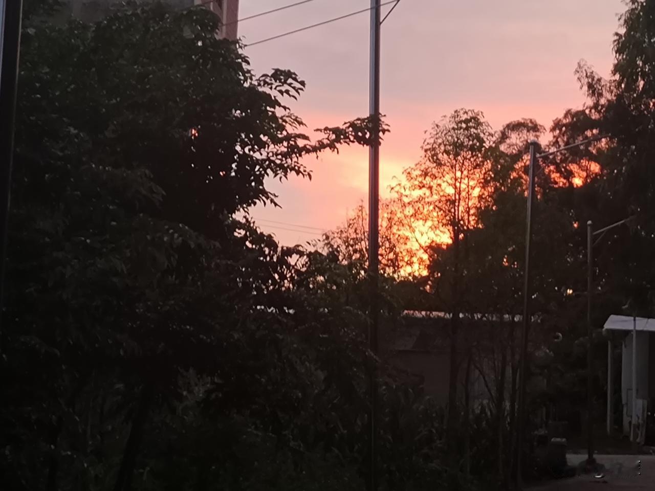 出门散步总习惯随手举起手机，不特意找网红打卡点，也不用费心调整滤镜，路边偶然撞见