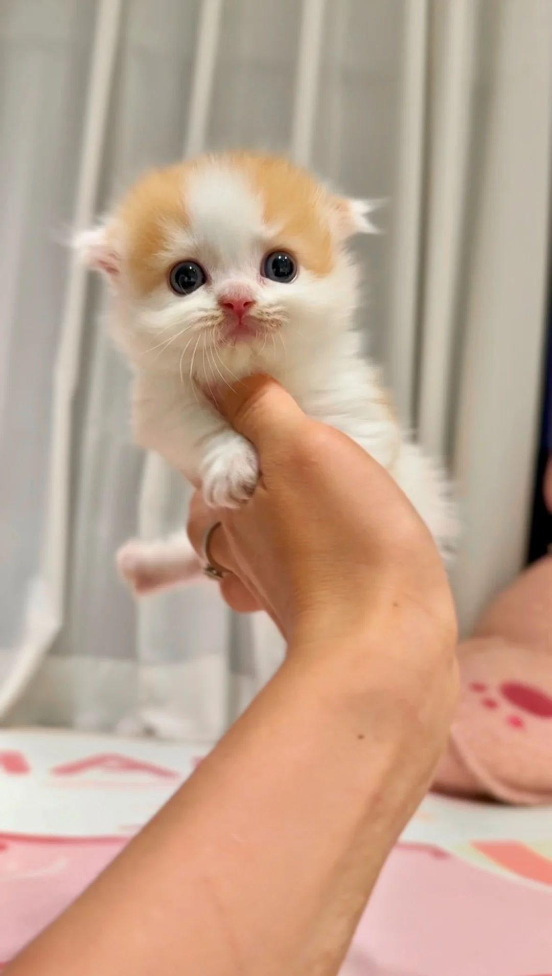 萌一个 来给大家萌一个｜宝宝满月啦🧡