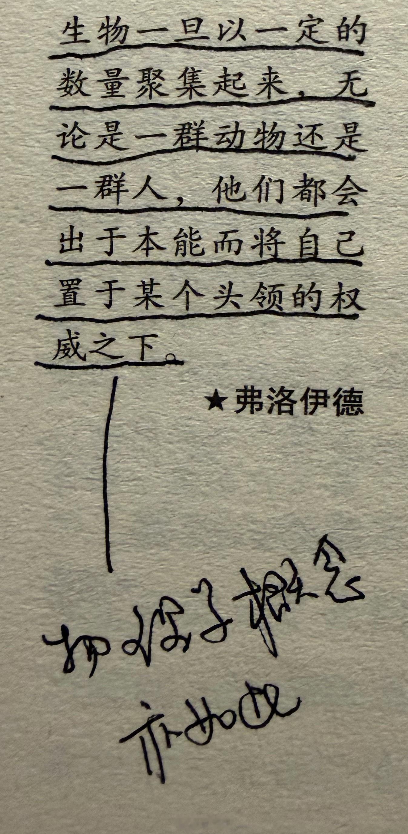 奴才永远都在寻找主子，不是因为愚昧，而是为了作恶。奴才始终在等待第一只踩踏它的靴