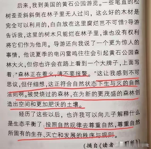 森林正在着火，请不要报警人们正在无家可归，请不要…… 