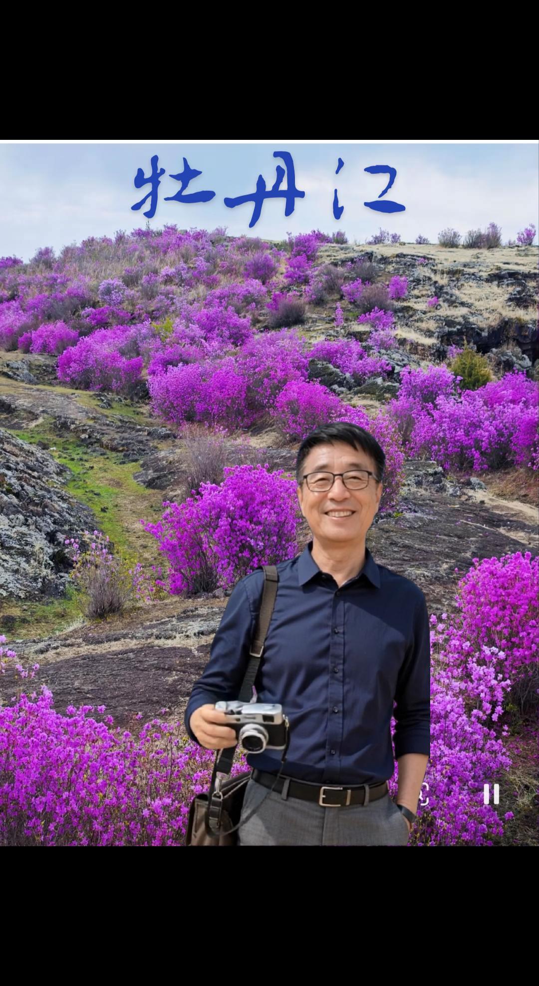 上热门发作品 荒野中绽放的花朵 山花烂漫正当时 野花物语 高原花卉图鉴