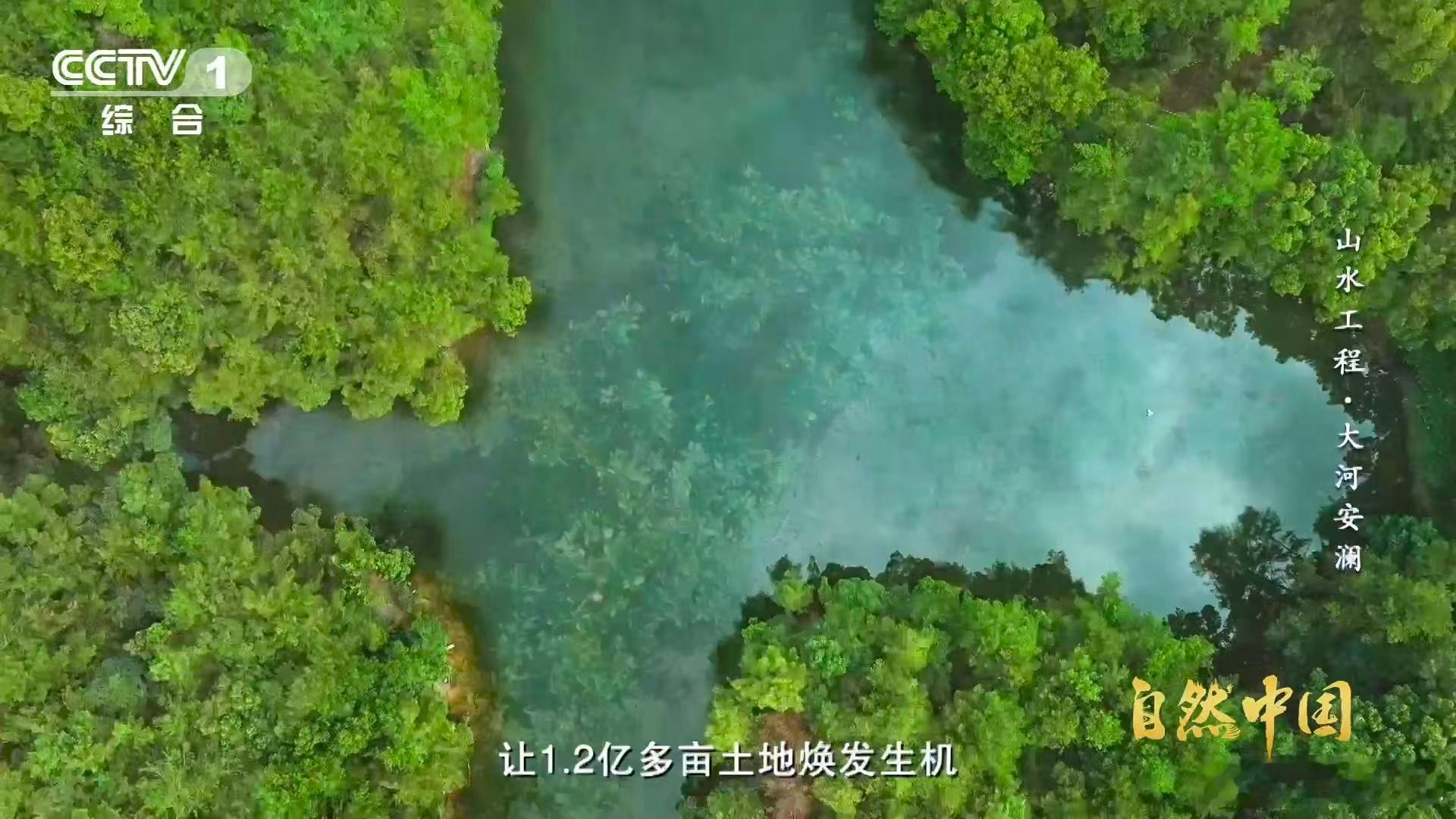 联合国3个词为中国方案点赞 看着曾经的荒地沙化地慢慢变回绿水青山，改善了环境，还