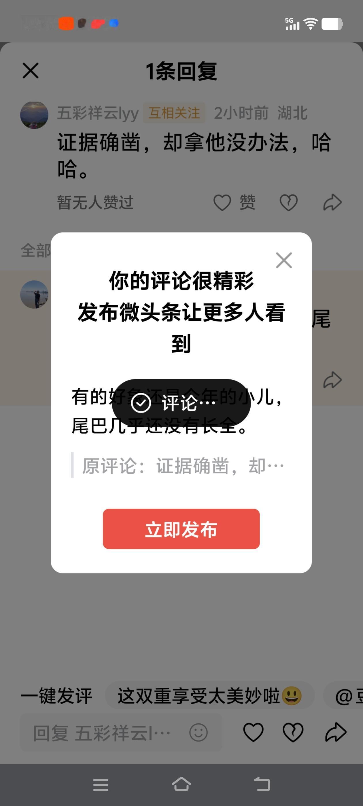 有的好像还是今年的小鸟，尾巴几乎还没有长全。