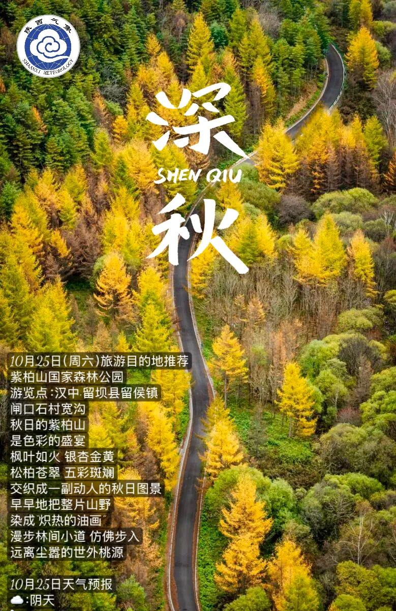 【今日旅游目的地推荐——紫柏山国家森林公园】
秋日的紫柏山是色彩的盛宴，枫叶如火