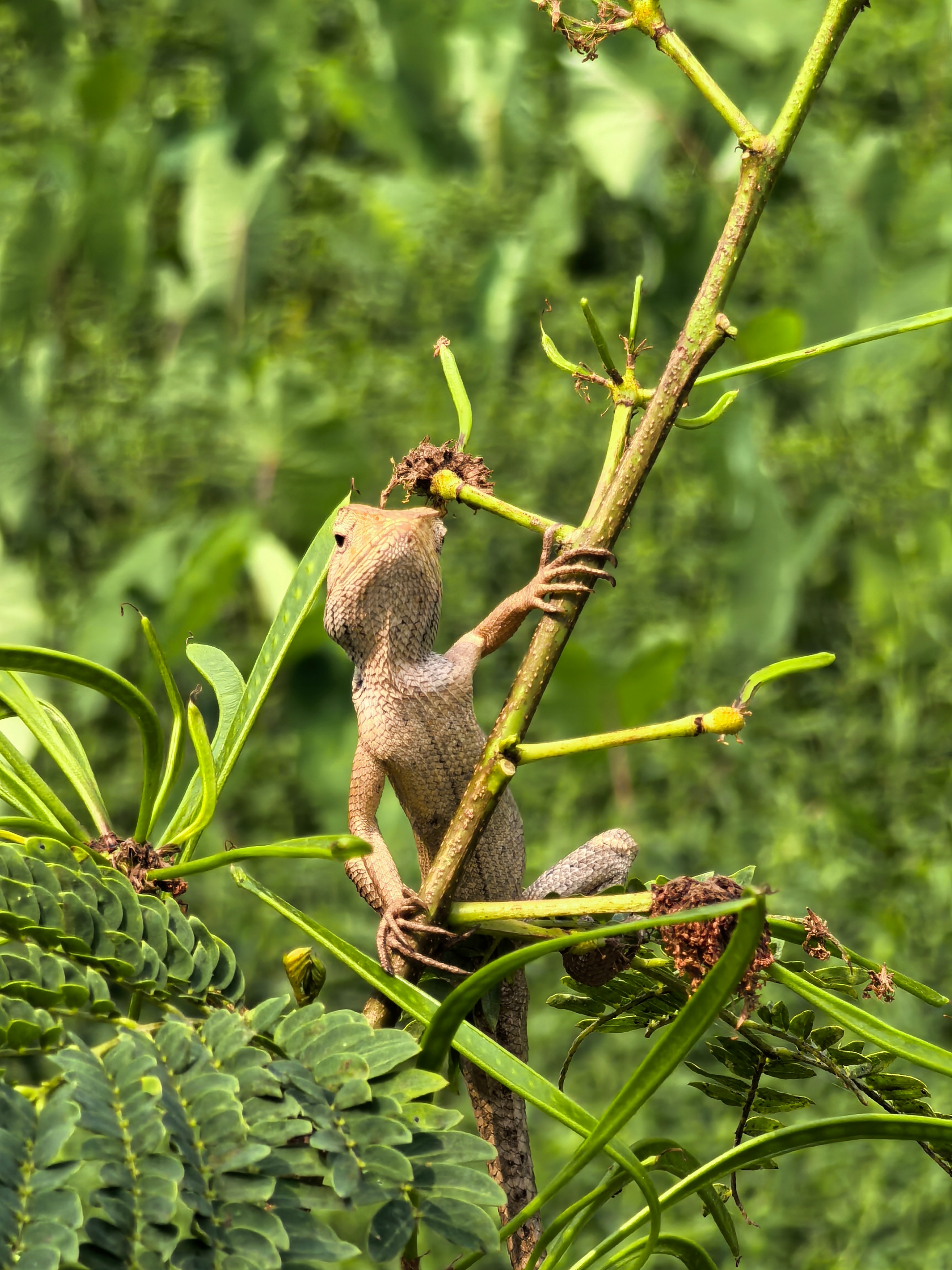 自打前几年开始手机裸奔，就不需要考虑买壳换壳了。后面买衣服也就简单款式和速干，选