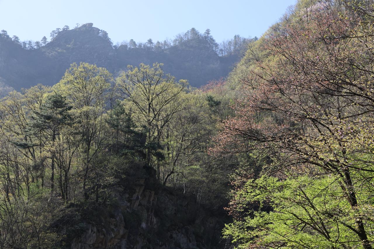 漂亮的花朵图片那可太多啦！蓝天白云下粉白相间的花朵，就像一群小精灵在欢快地跳舞，