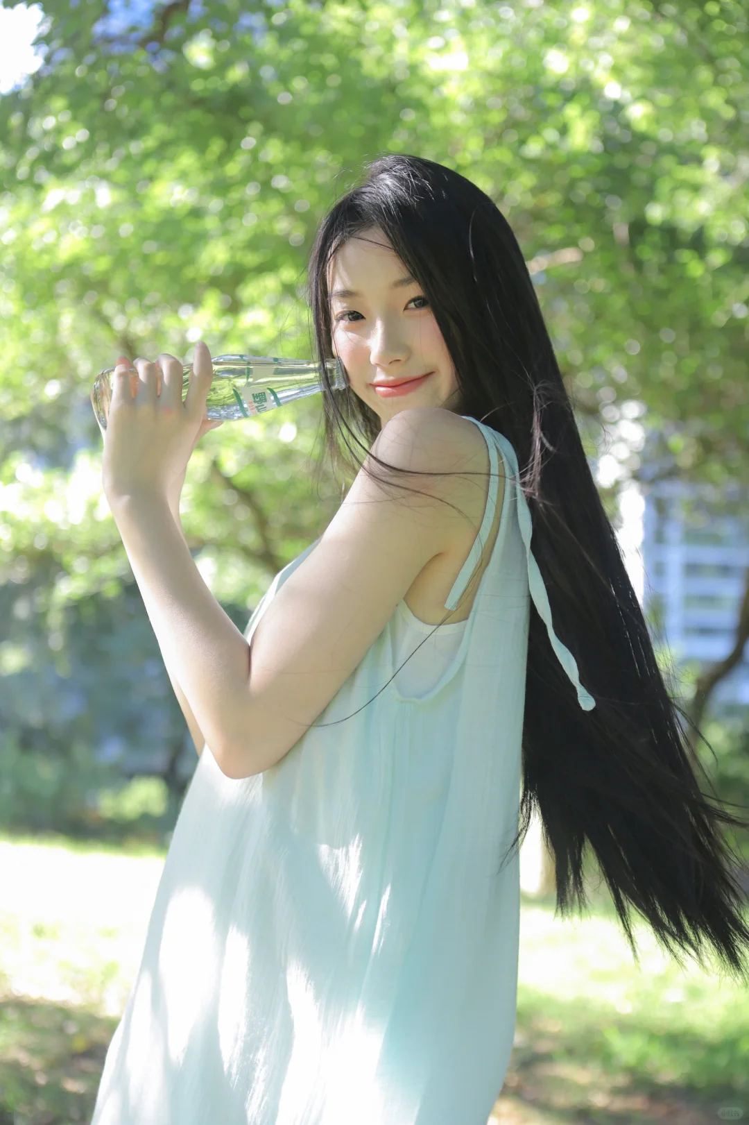 绿意被阳光晒透