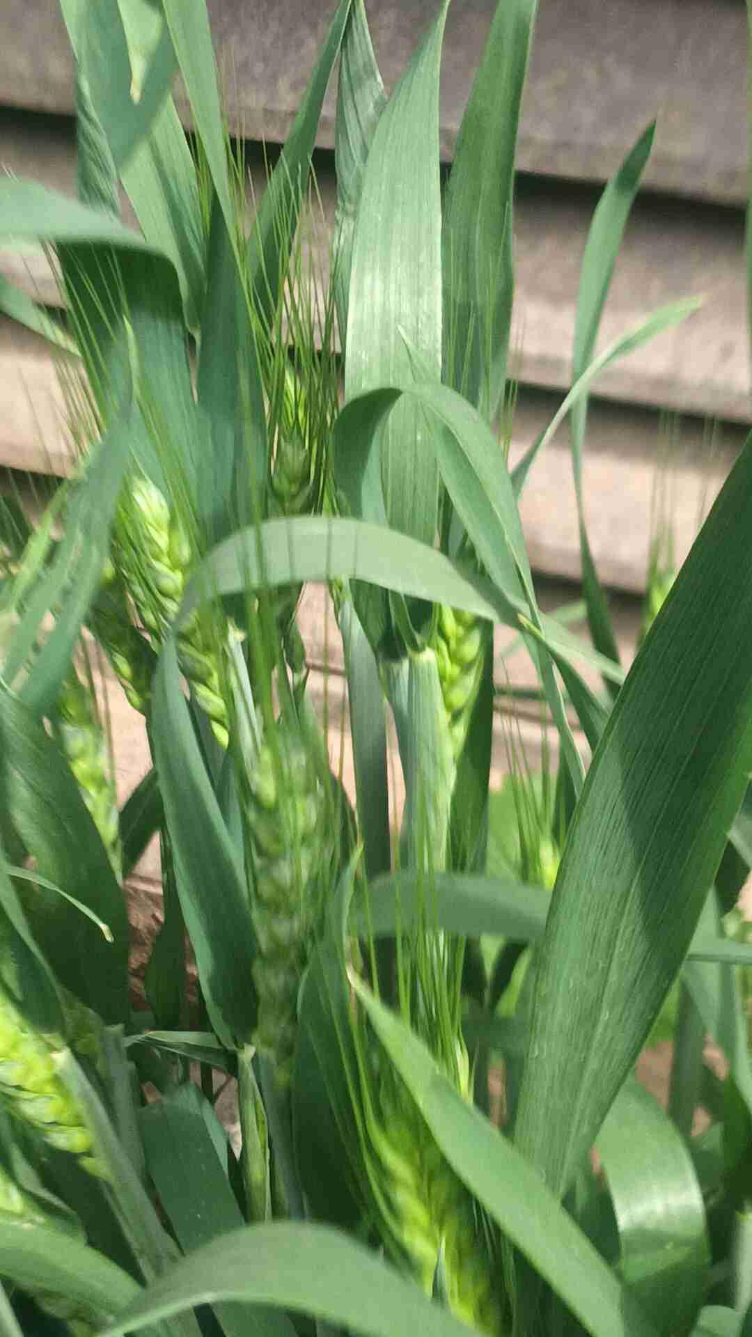 我的今日状态：😁轻松愉快
我这里的天气：☀️晴天