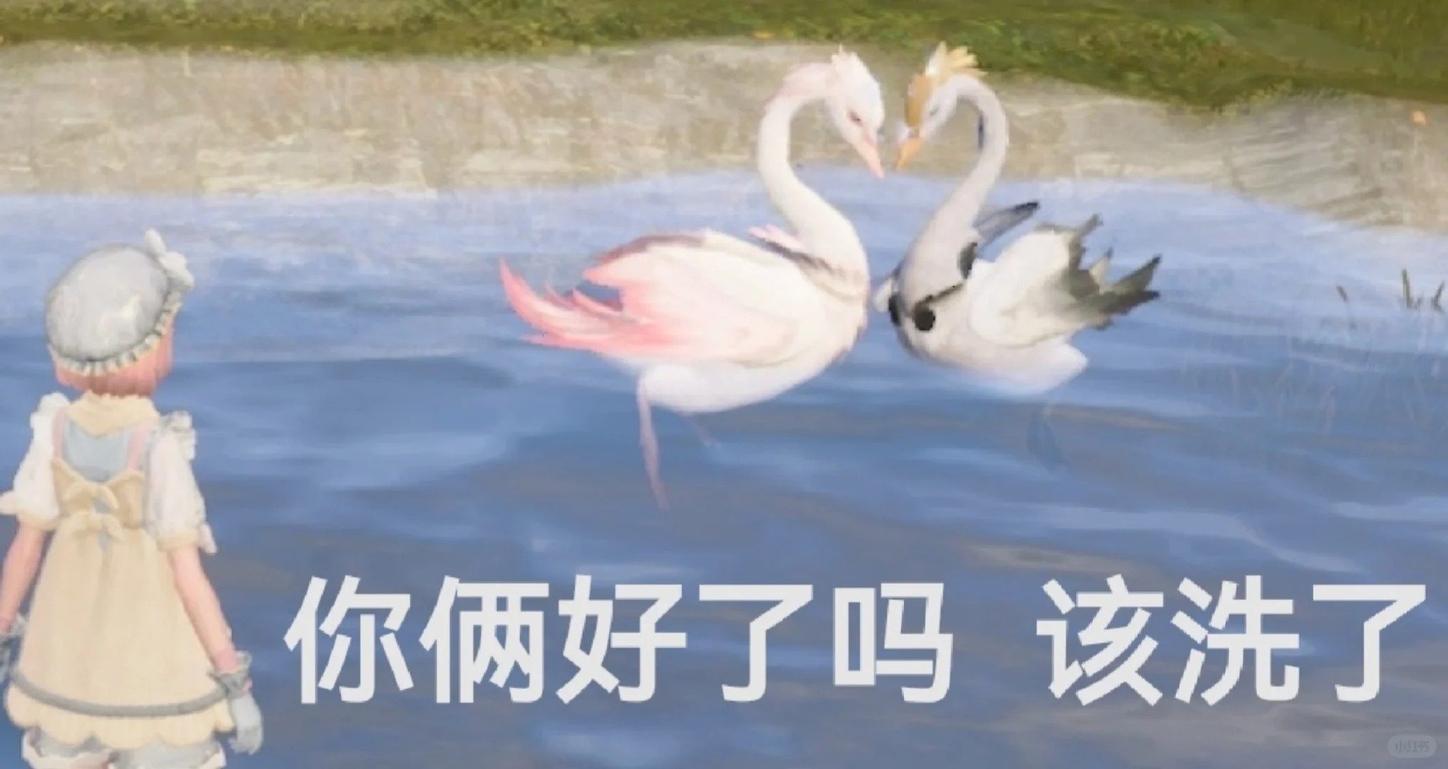 这恋爱就那么好谈吗难舍难分呀，被塞了一口狗粮 