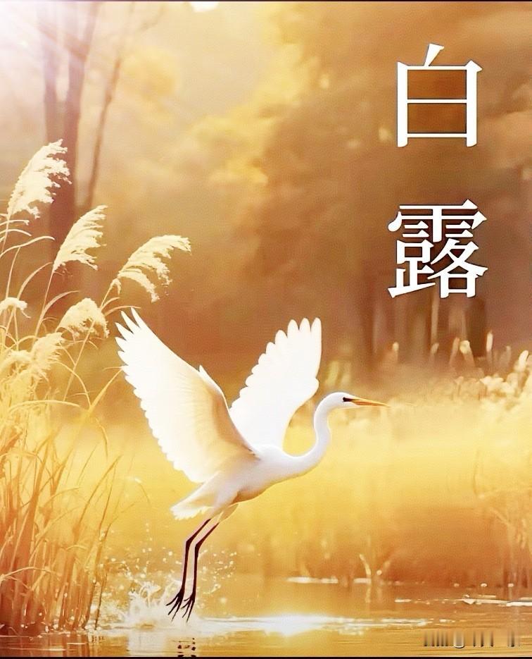 《白露》
汴梁旧迹对秋光，
点点露沾草尚苍。
陌上梧桐摇落影，
大河岸畔雁初翔。