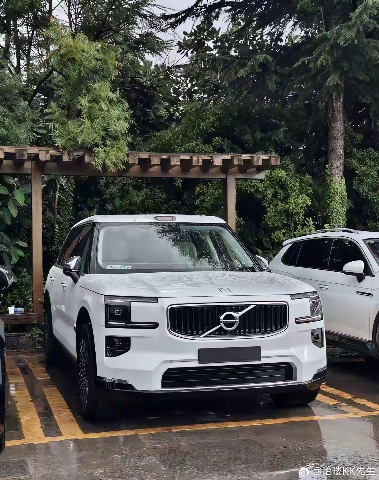 极氪这谁改的，出来聊聊我保证不打你