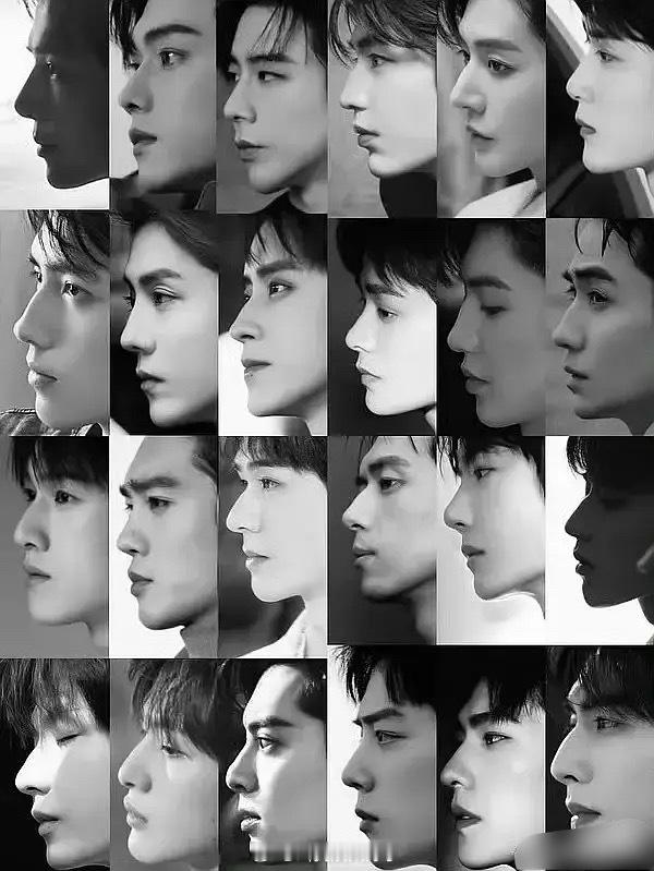 男明星的侧脸图🈶️！谁才是男明星里面的名品鼻子? 