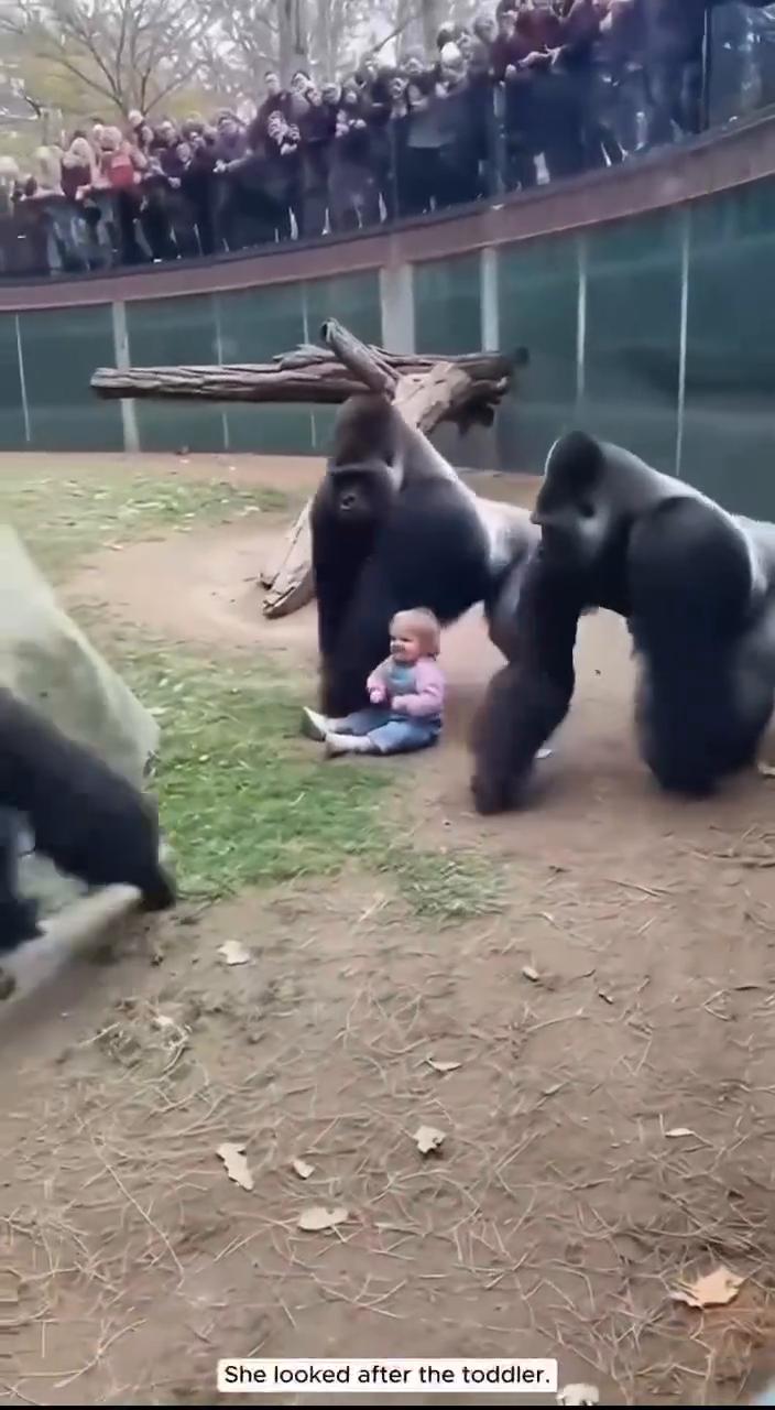 She looked after the toddler.She chose t