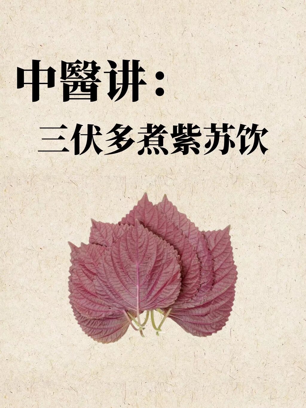 三伏天多煮紫苏饮！紫苏叶的5种搭配！ ​​​