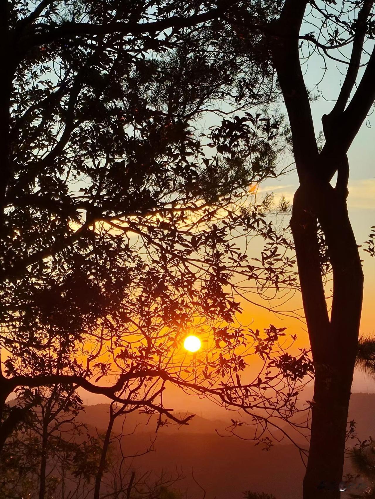 当了宝妈多年，自己带娃，孩子没有离开过我，因为负债，今年出来打工了，半年了，我必