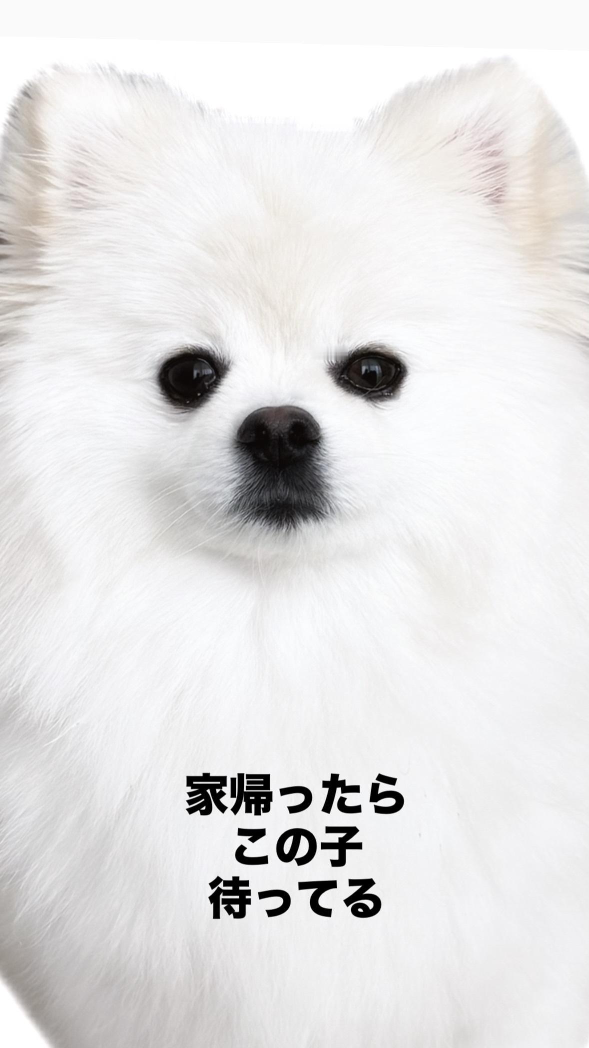 弓木奈於　ゆみきぐらむ