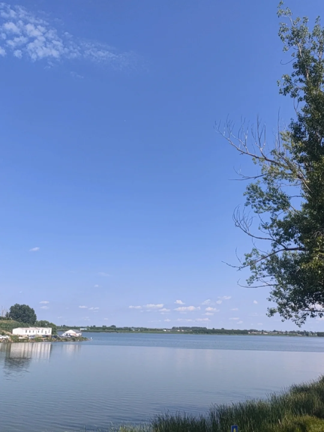 有些女人的“不忍心”真是让人哭笑不得