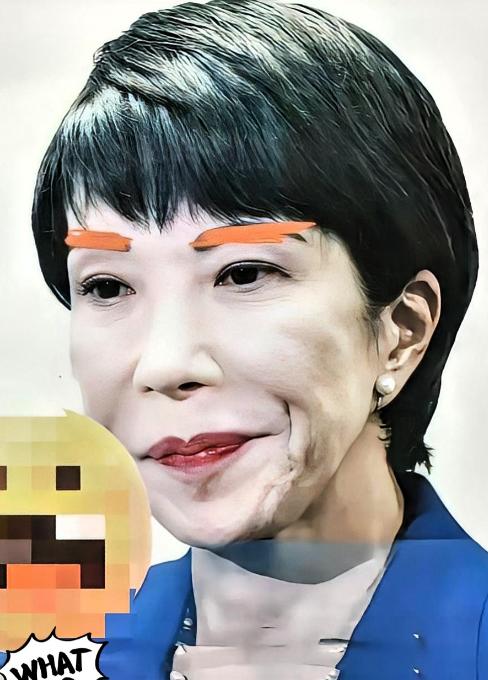 11月22日，中日交流发生重磅变动：丰田、索尼等20家日本龙头企业，原计划11月