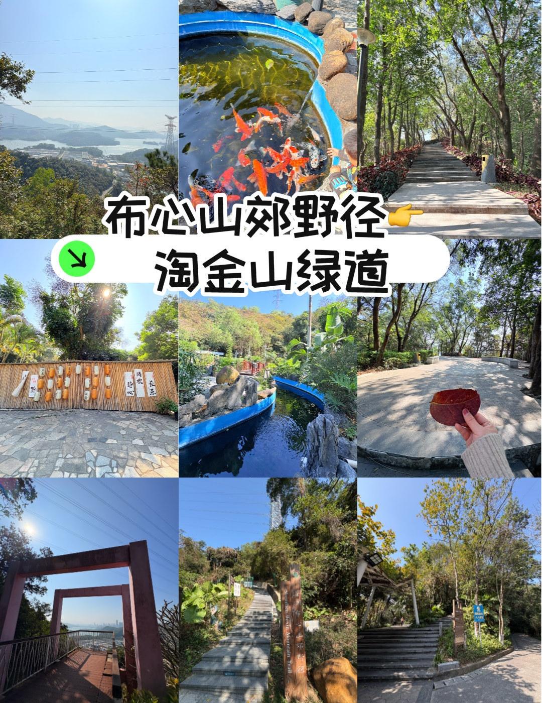 淘金山绿道途中新发现了一个好地方
📍苏州 
淘金山绿道中途这里有个小朋友喜欢喂