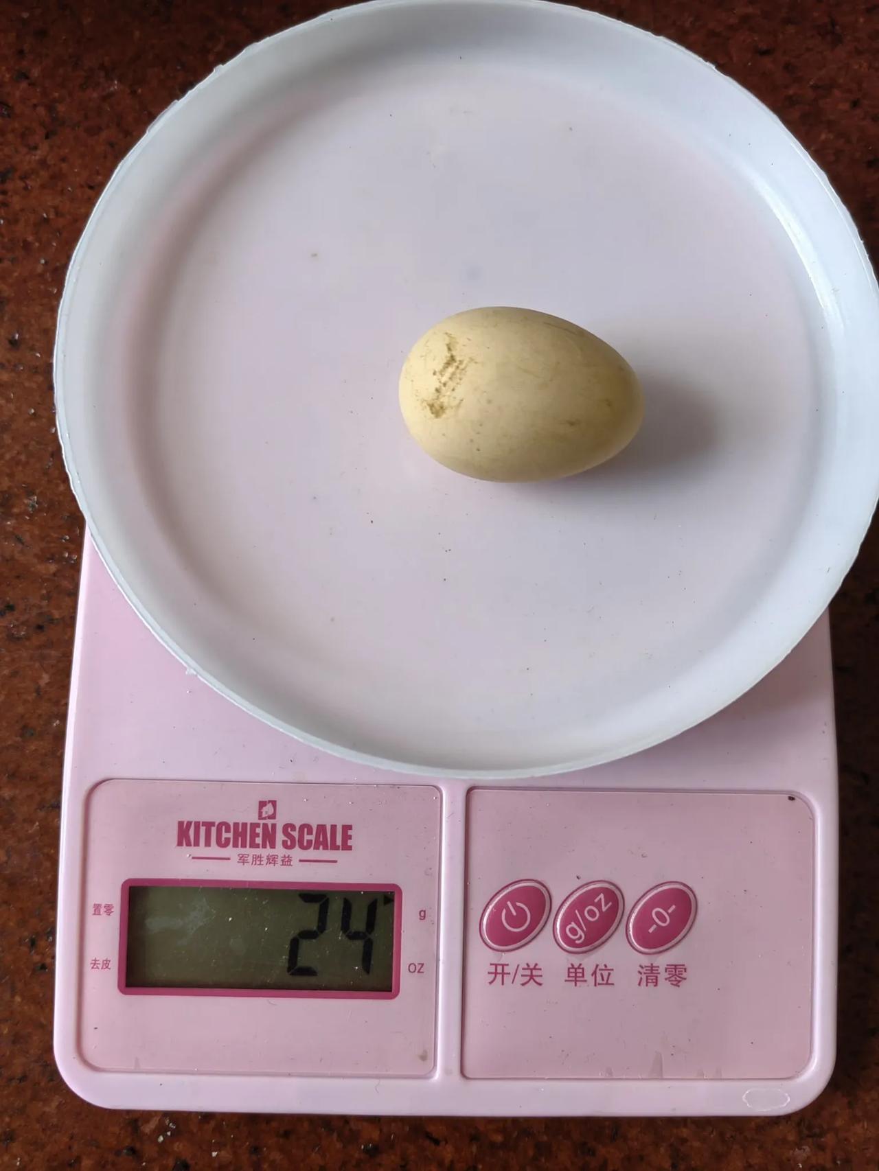 早上去菜市场，发现一种很特别的鸡蛋，很小个，相当于普通鸡蛋的一半大小。顿时被这鸡