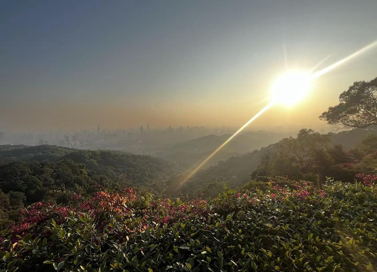 我无心博弈 只想安安稳稳的享受这越来越少的青春