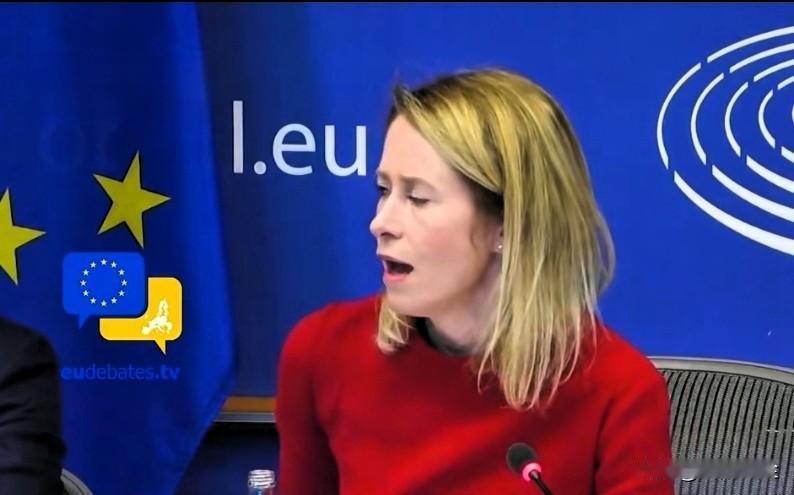 在布鲁塞尔的欧洲议会外交事务委员会（AFET）上承认欧盟防务预算由成员国主导，但