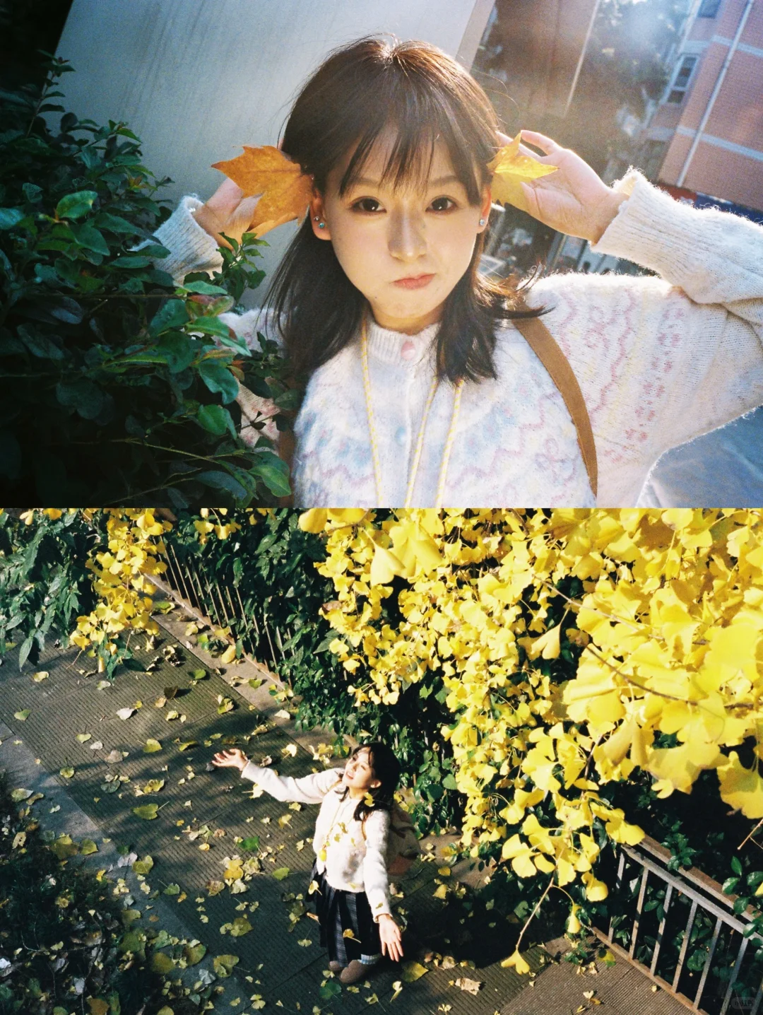 秋天的阳光好温暖🍂