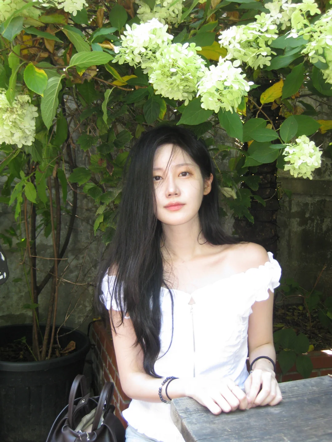 ins博主｜真的好美 我是说木绣球~