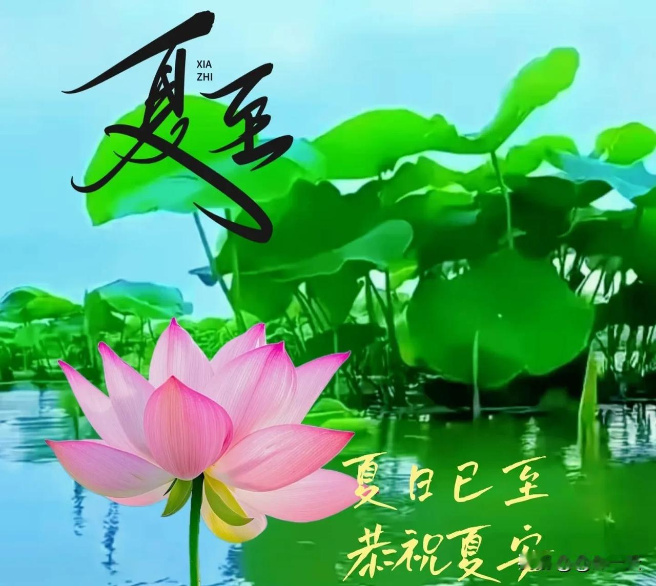 [心][心]夏至安康
转眼来到六月中
昼短夜长暑气浓
日晒汗流如雨注
开窗难觅一