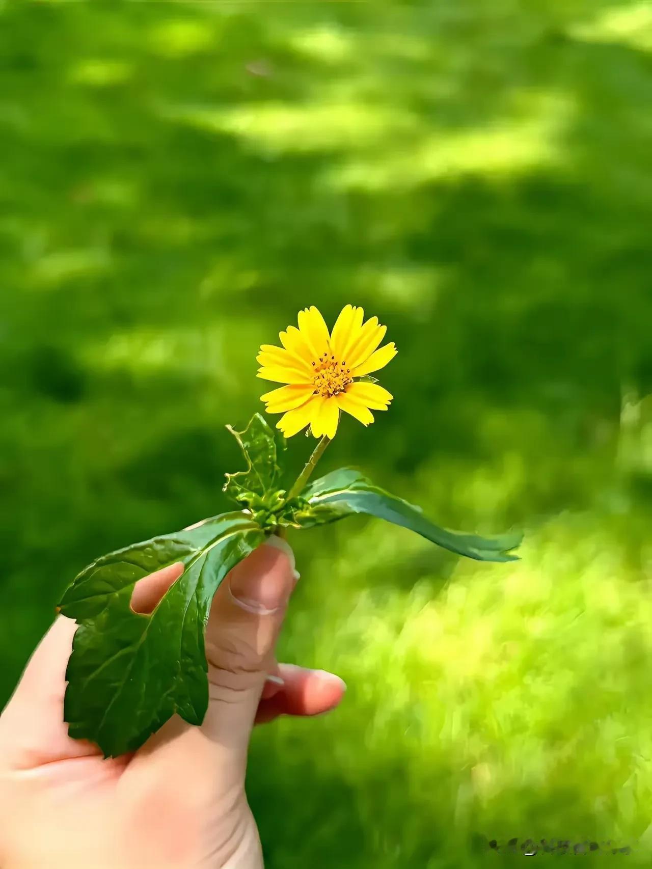 别认怂！10个狠人行为让你下半年脱胎换骨

10条逆袭心法，赶快记下来试试！
1