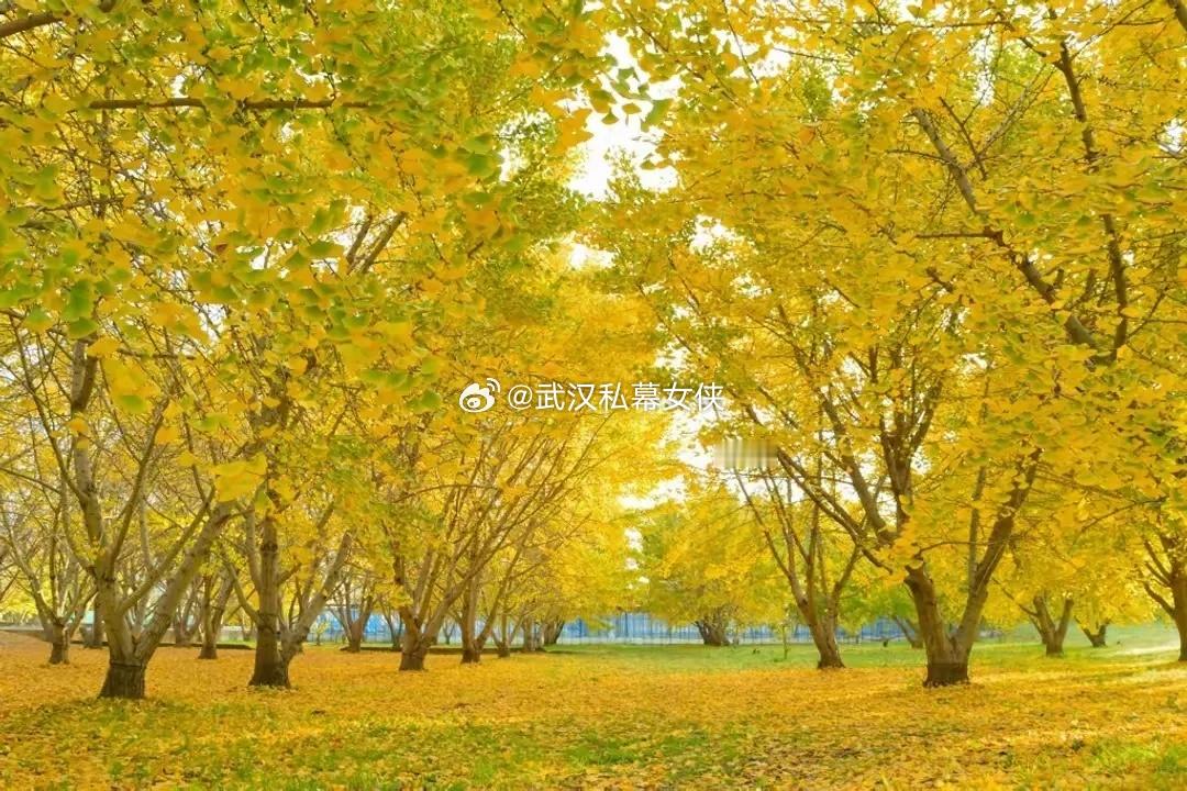 “十五五”规划重点布局板块和个股：       十五五规划聚焦集成电路、人工智能