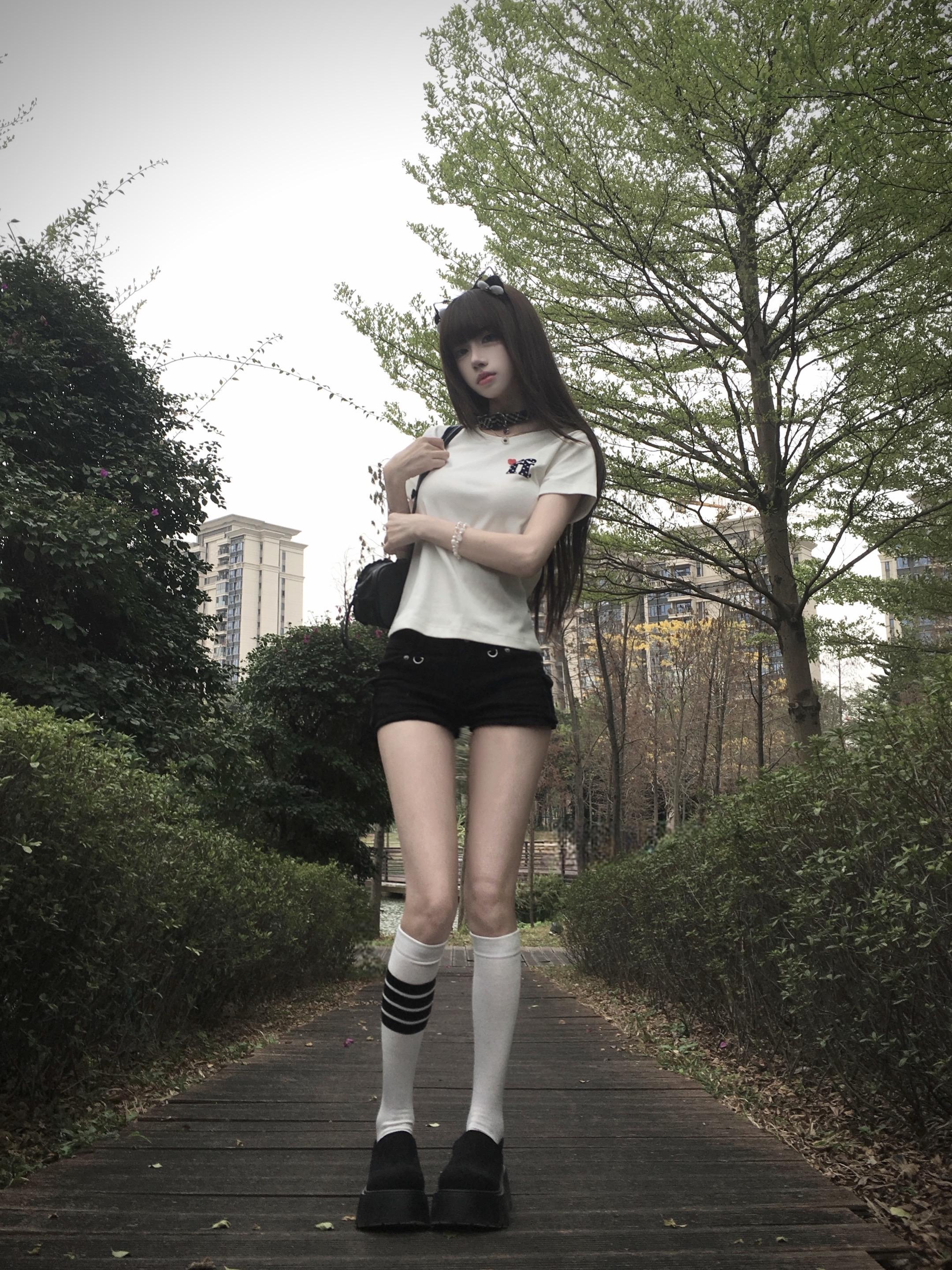 你的目光曾是我的北极星