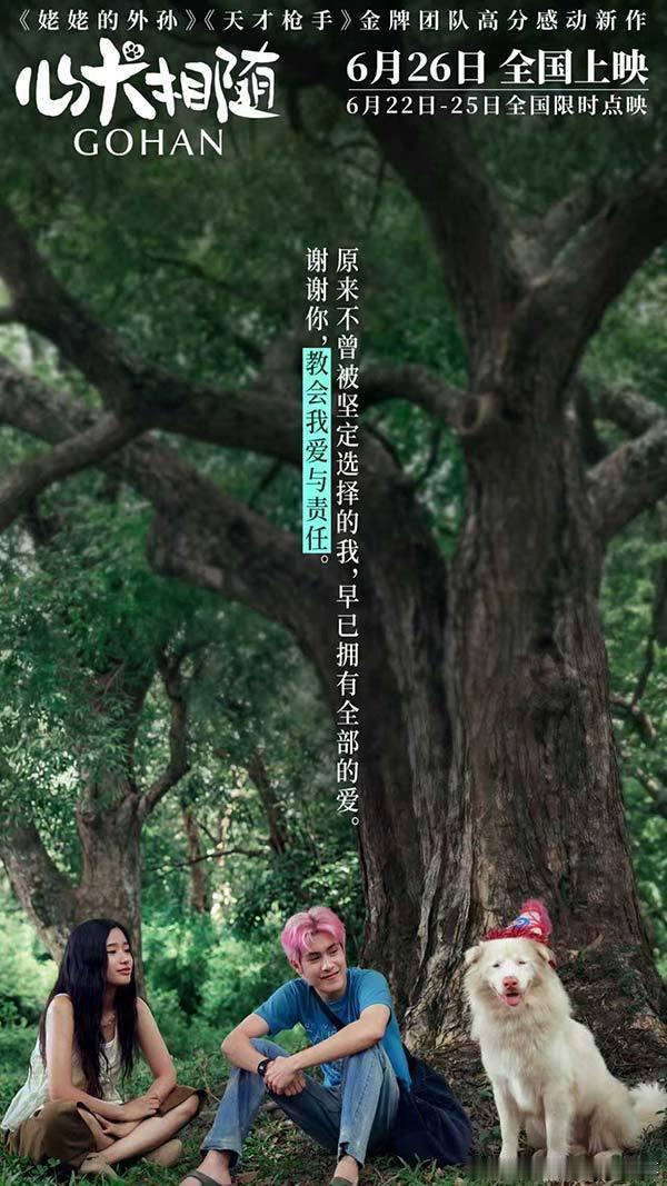 电影心犬相随预售开启 治愈高分佳作电影心犬相随 全新海报释出，诉说人与狗狗彼此救